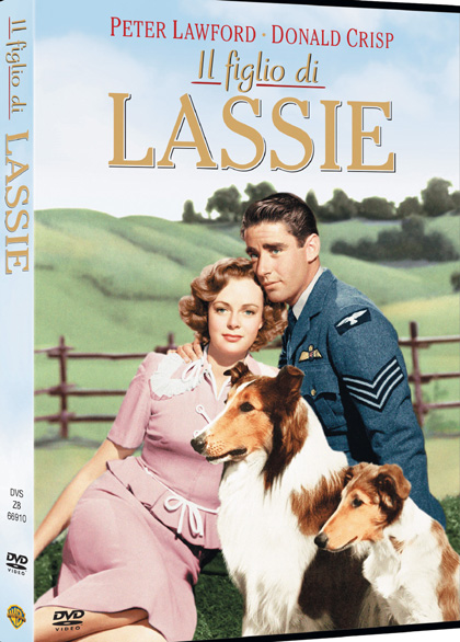 Il figlio di Lassie download ITA 1945 (TORRENT)