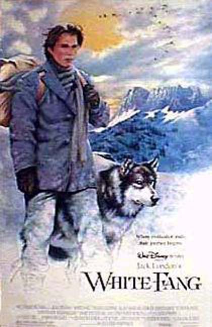 Poster Zanna bianca - Un piccolo grande lupo