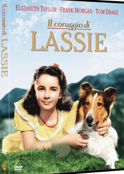 Lassie 3 Classici In Dvd Mymoviesit 