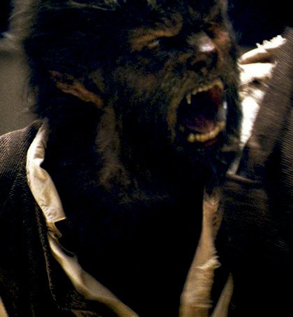 In foto Benicio Del Toro (57 anni) Dall'articolo: The Wolfman: attenti al lupo.