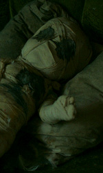 Territori diversi -  Dall'articolo: Horror Frames: Skjult, l'orrore che viene dal freddo.