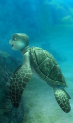Una scena del film d'animazione Le avventure di Sammy. -  Dall'articolo: L'ora di biologia marina.