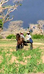 Una foto di scena del film Diol Kadd. Vita, diari e riprese in un villaggio del Senegal di Gianni Celati. -  Dall'articolo: Diol Kadd, la vera vita in un villaggio africano.