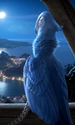 Victoria Cabello  la voce della pappagallina ''Gioiel'' nel film Rio. -  Dall'articolo: Rio, l'Avatar dei bambini.