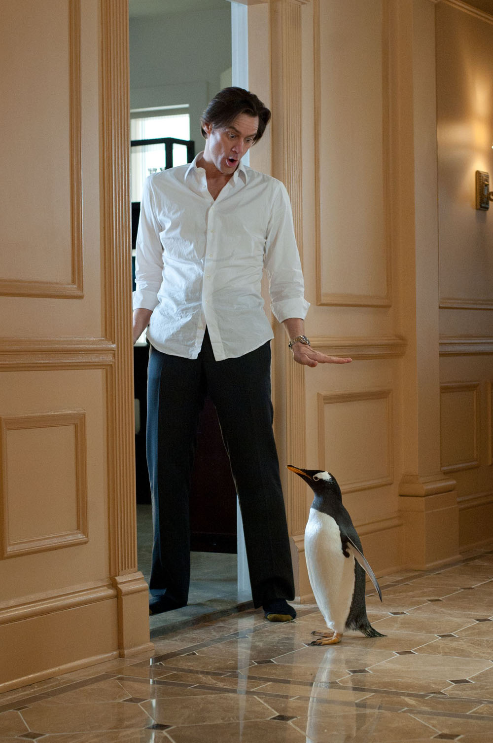 Una scena del film I pinguini di Mr. Popper. -  Dall'articolo: Mr. Popper e il lavoro sui pinguini.