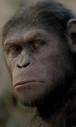 In foto Cesare, lo scimpanzé protagonista del film L'alba del pianeta delle scimmie di Rupert Wyatt. -  Dall'articolo: Andy Serkis, l'uomo scimmia.