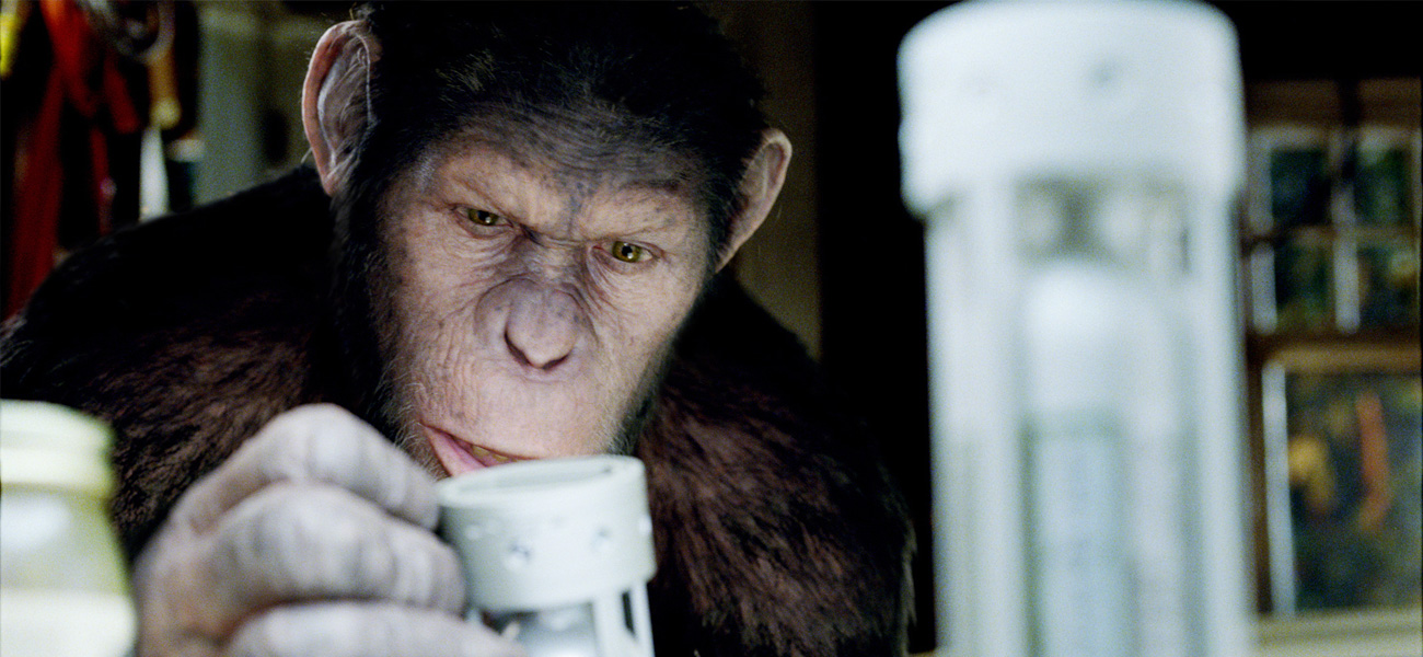 In foto lo scimpanzé Cesare in una scena del film L'alba del pianeta delle scimmie di Rupert Wyatt. -  Dall'articolo: Dan Lemmon, creatore di sogni.