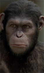 In foto lo scimpanzé Cesare, protagonista del film L’alba del pianeta delle scimmie di Rupert Wyatt. -  Dall'articolo: Film nelle sale: date a Cesare quel che é di Cesare.