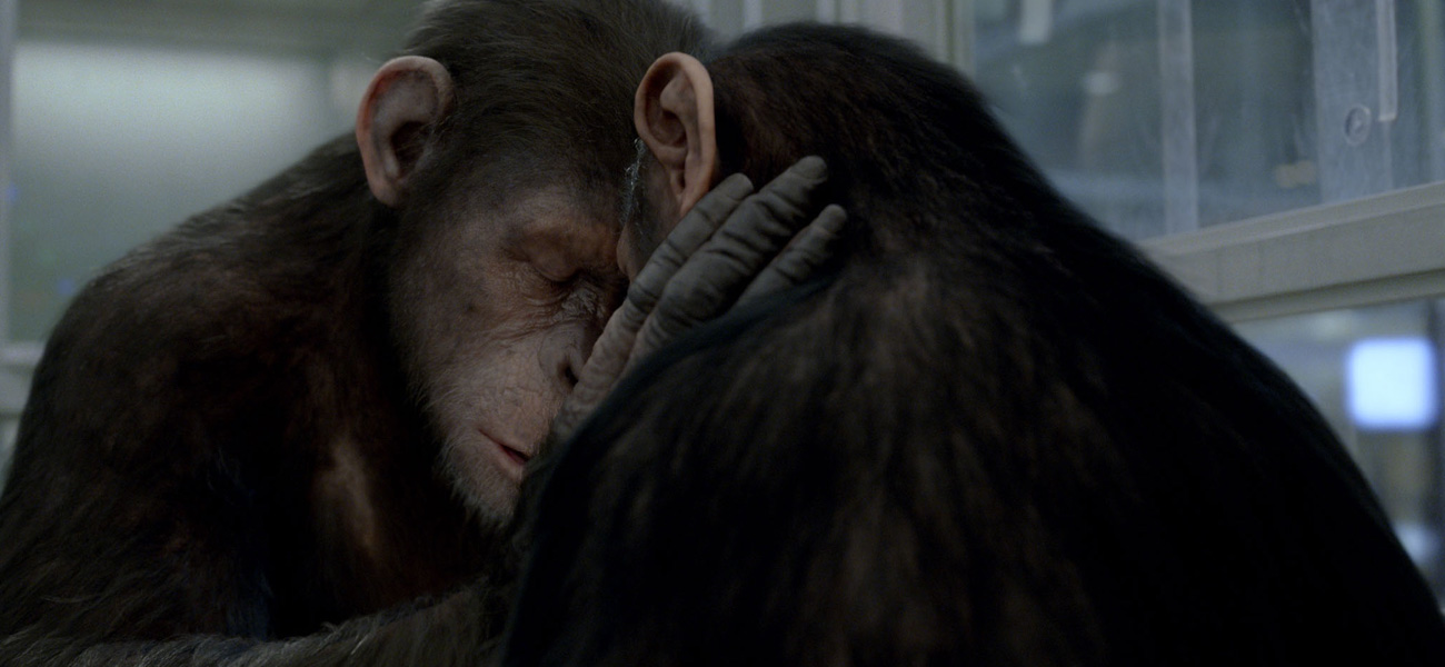 In foto una scena del film L'alba del pianeta delle scimmie di Rupert Wyatt. -  Dall'articolo: La scimmia e la Metropoli.