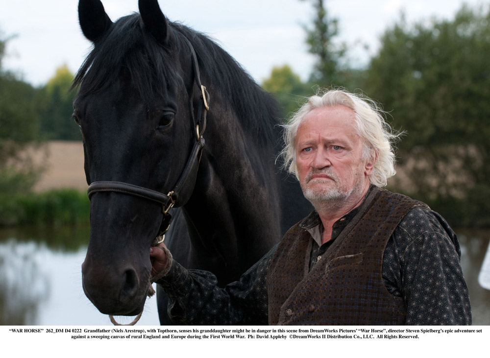 In foto Niels Arestrup (74 anni) Dall'articolo: War Horse, un racconto di lealtà, speranza e perseveranza.