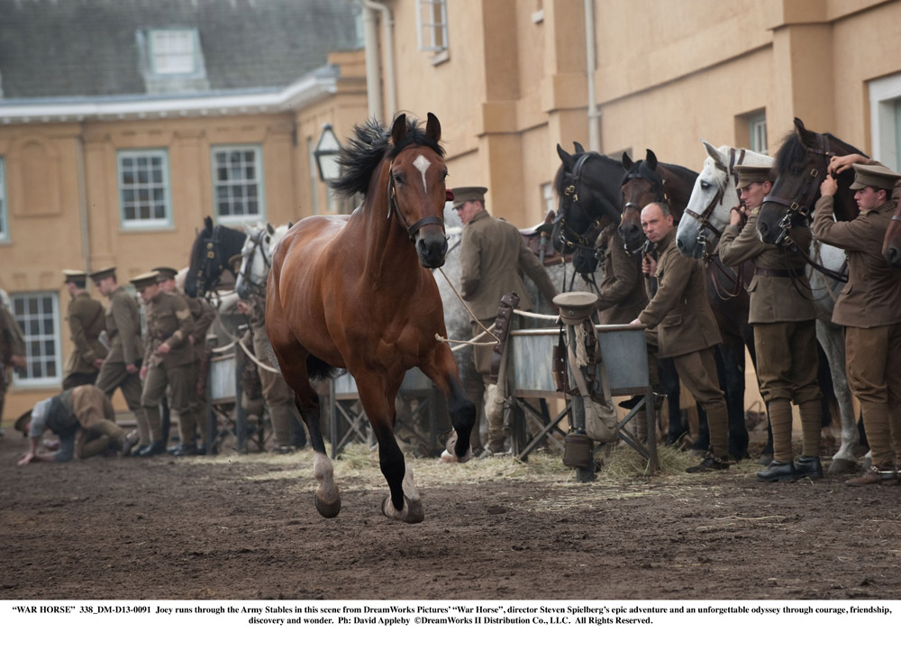 Una foto del film War Horse di Steven Spielberg. -  Dall'articolo: War Horse, un racconto di lealt, speranza e perseveranza.