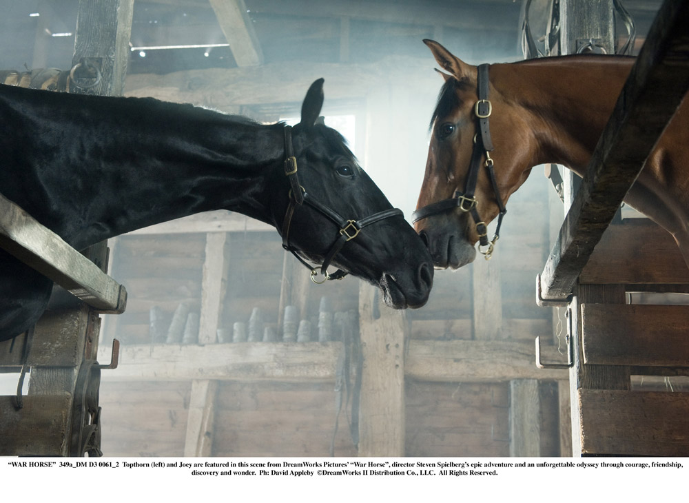 Una foto del film War Horse di Steven Spielberg. -  Dall'articolo: War Horse, un racconto di lealt, speranza e perseveranza.
