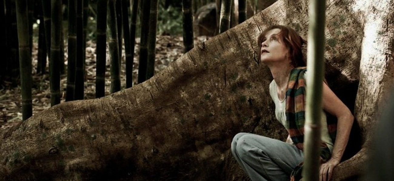 In foto Isabelle Huppert (72 anni) Dall'articolo: Captive su MYMOVIESLIVE!.