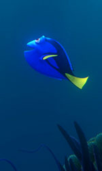 In foto Ellen DeGeneres (67 anni) Dall'articolo: Nuovi record per Dory al box office americano.