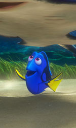 In foto Ellen DeGeneres (67 anni) Dall'articolo: Box Office, tutti alla ricerca di Dory..