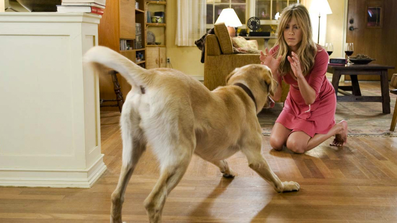 In foto Jennifer Aniston (55 anni) Dall'articolo: Io & Marley, il film stasera in tv su TV8.