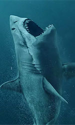 In foto Jason Statham (57 anni) Dall'articolo: Shark - Il primo squalo, spettacolo per il grande pubblico. Dall'articolo: Lo squalo non muore mai: 140.000  per Shark al 12 giorno di programmazione.