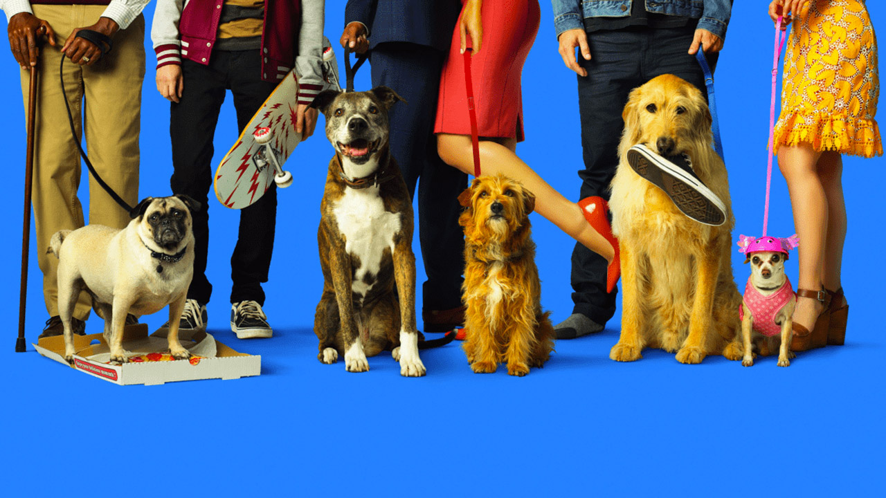  Dall'articolo: Dog Days, commedia corale sulla capacit unica dei cani di amare, farsi amare e far amare.