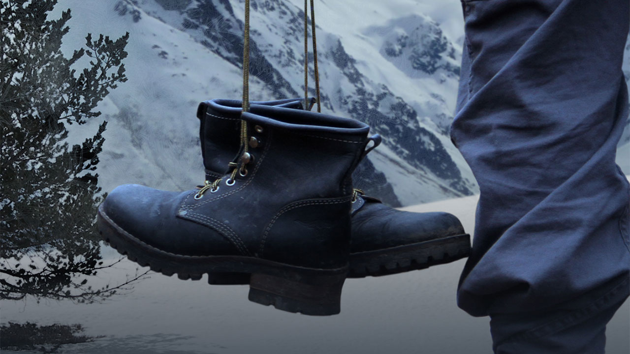  Dall'articolo: Sognando Alaska, se la famiglia  un ostacolo alla felicit.