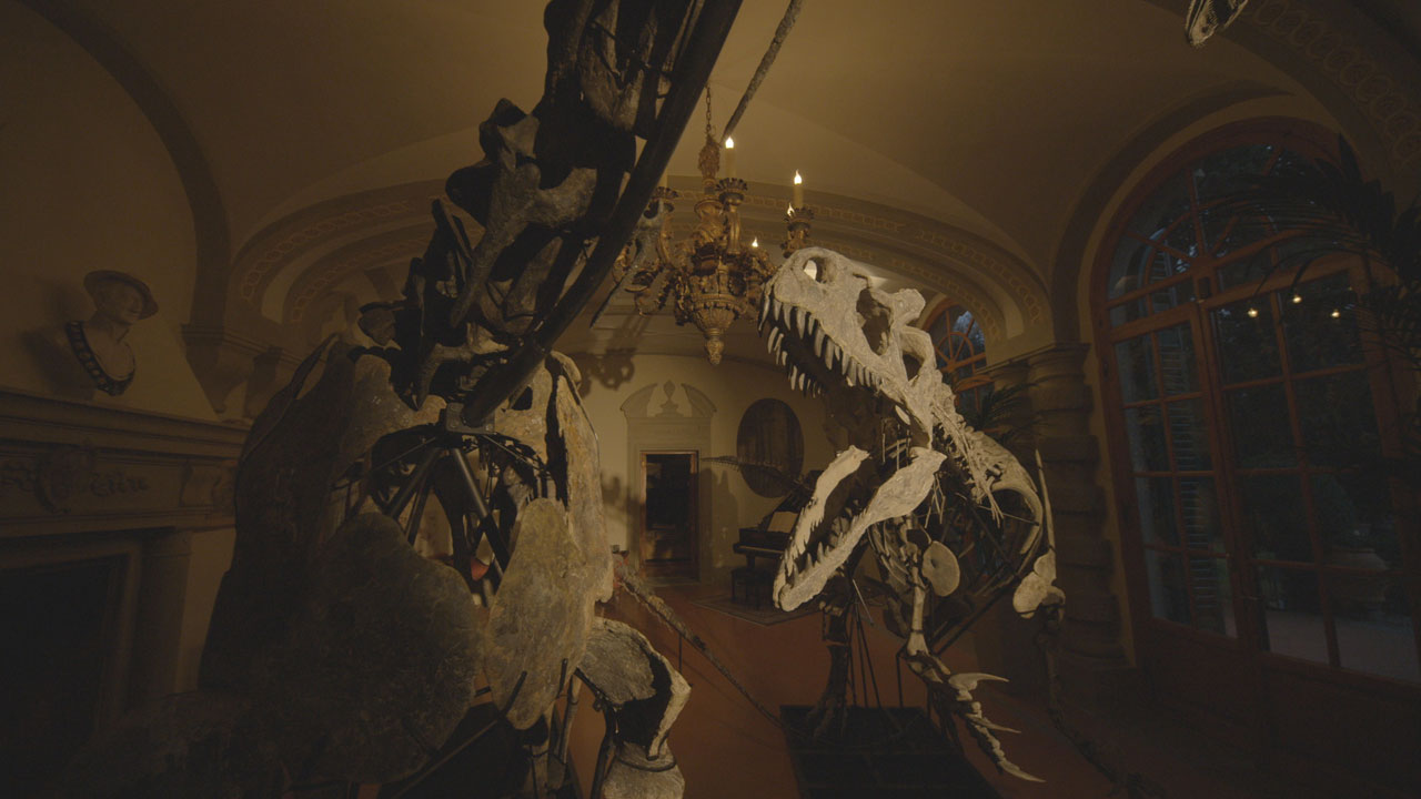  Dall'articolo: Dinosaurs, un minuzioso documentario che racconta la passione per l'era preistorica.