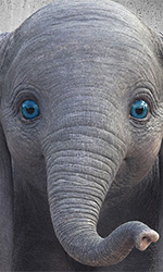 In foto Eva Green (44 anni) Dall'articolo: Dumbo mantiene il primo posto al Box Office e incassa mezzo milione di euro. Dall'articolo: Dumbo, la video recensione. Dall'articolo: Dumbo vola subito in testa al box office. Apertura soft per Claudio Bisio. Dall'articolo: Dumbo, Tim Burton riscrive a modo suo il capolavoro Disney.