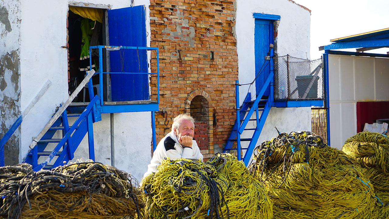  Dall'articolo: Diario di tonnara, il trailer ufficiale del film [HD].