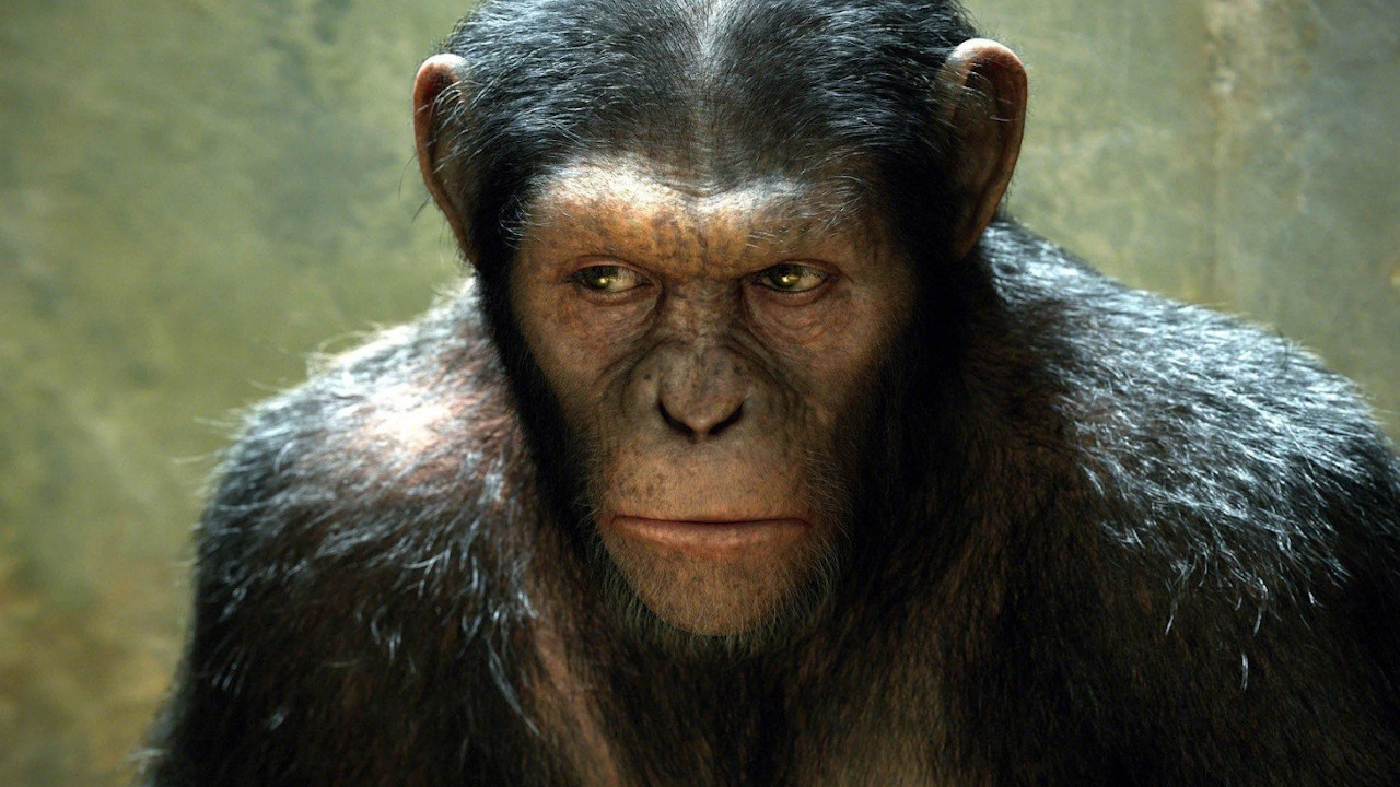 Italia 1 ORE 21.30L'alba del pianeta delle scimmie -  Dall'articolo: Stasera in Tv: i film da non perdere di giovedì 16 luglio 2020.