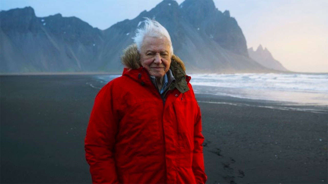  Dall'articolo: David Attenborough: Una vita sul nostro pianeta, il trailer ufficiale del film [HD].