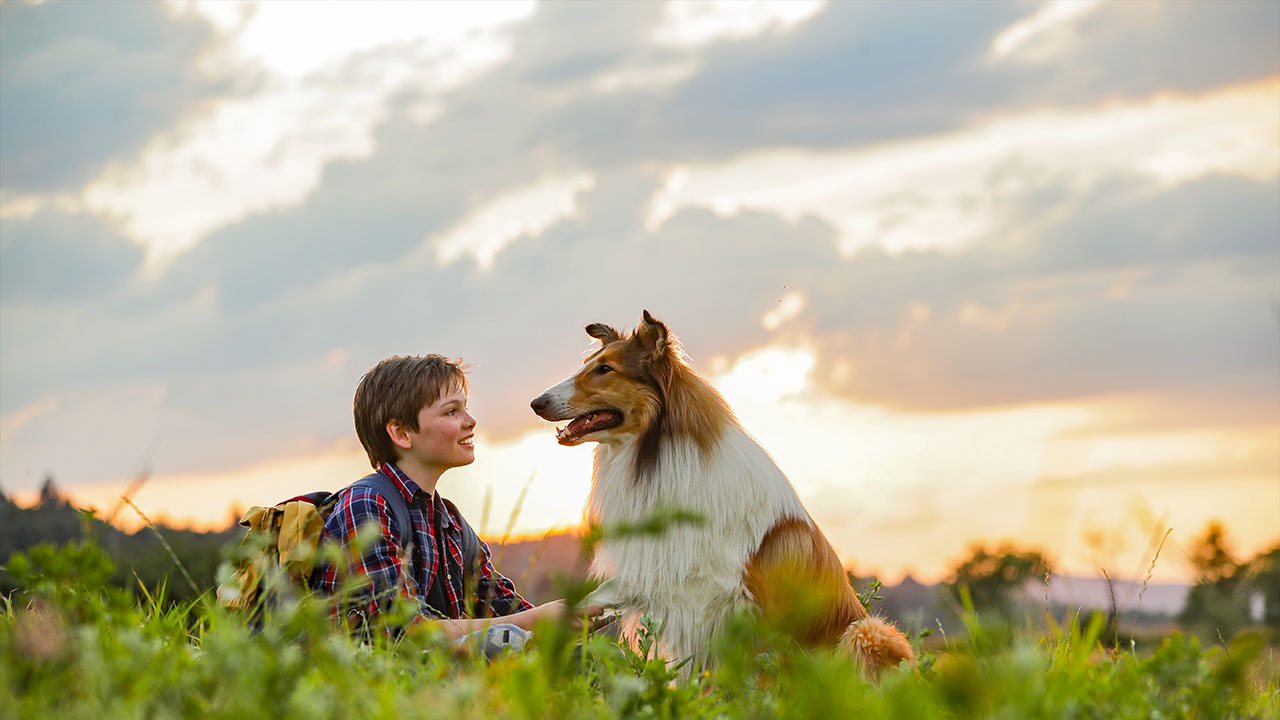  Dall'articolo: Lassie torna a casa, il trailer italiano del film [HD].