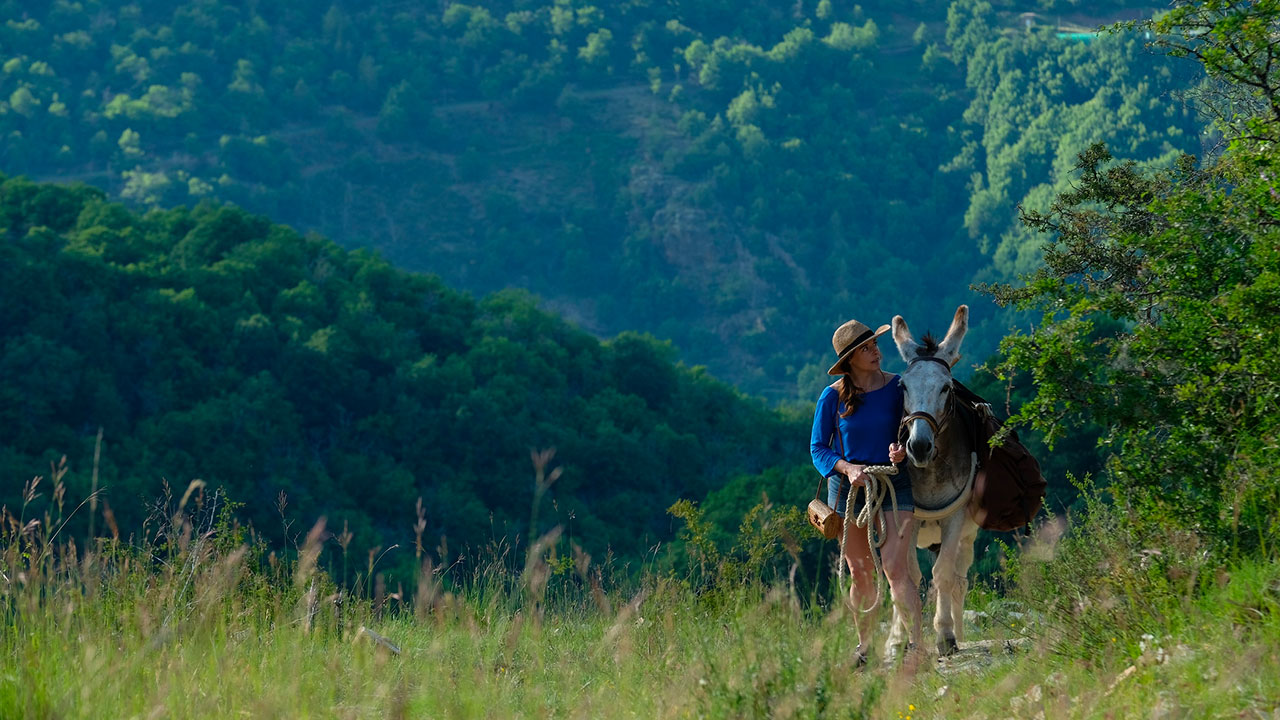  Dall'articolo: Io, lui, lei e l'asino, il trailer italiano del film [HD].