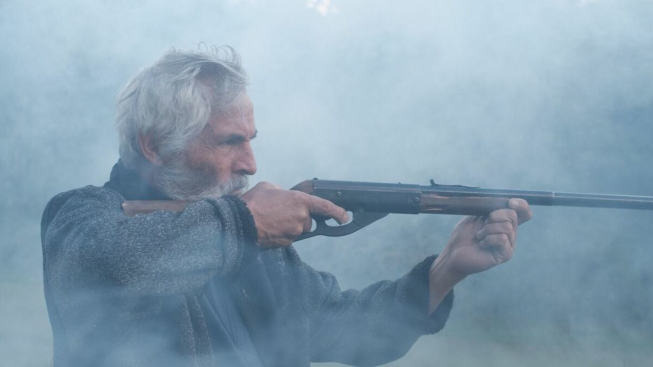  Dall'articolo: Domingo and the Mist, il trailer originale del film [HD].