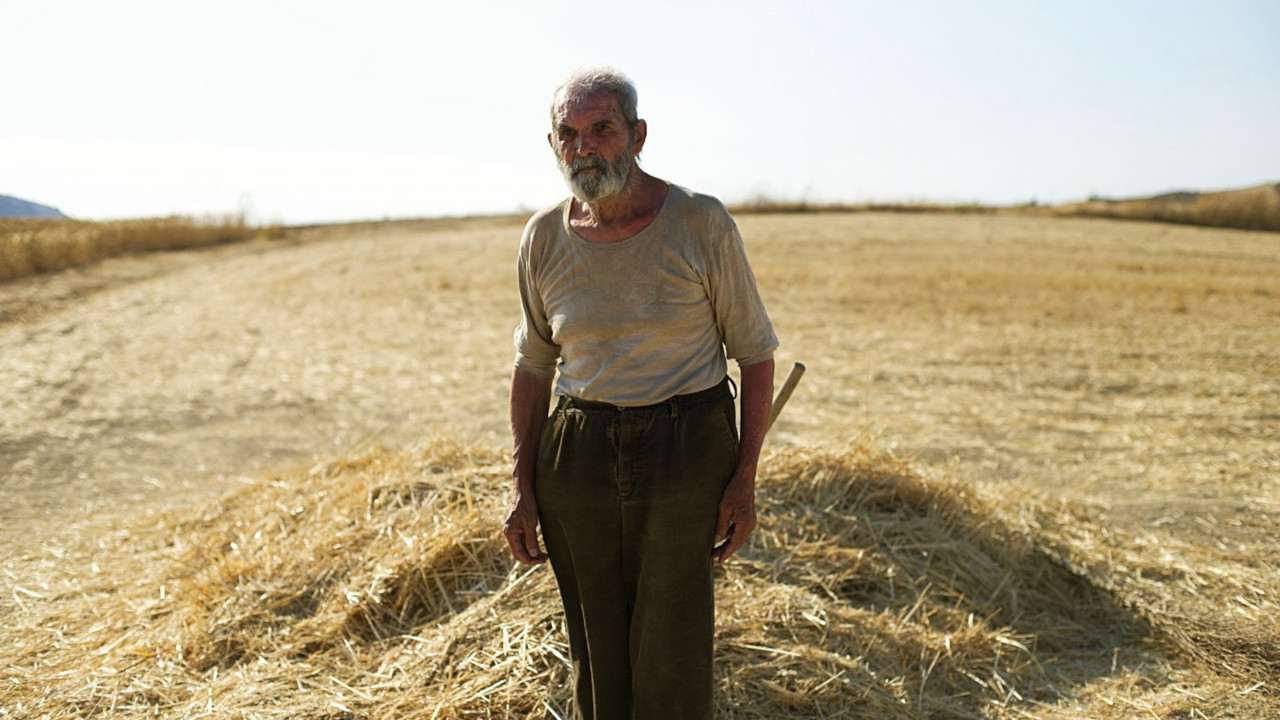  Dall'articolo: Made in Sardegna - Un'isola di film al cinema La Compagnia di Firenze.
