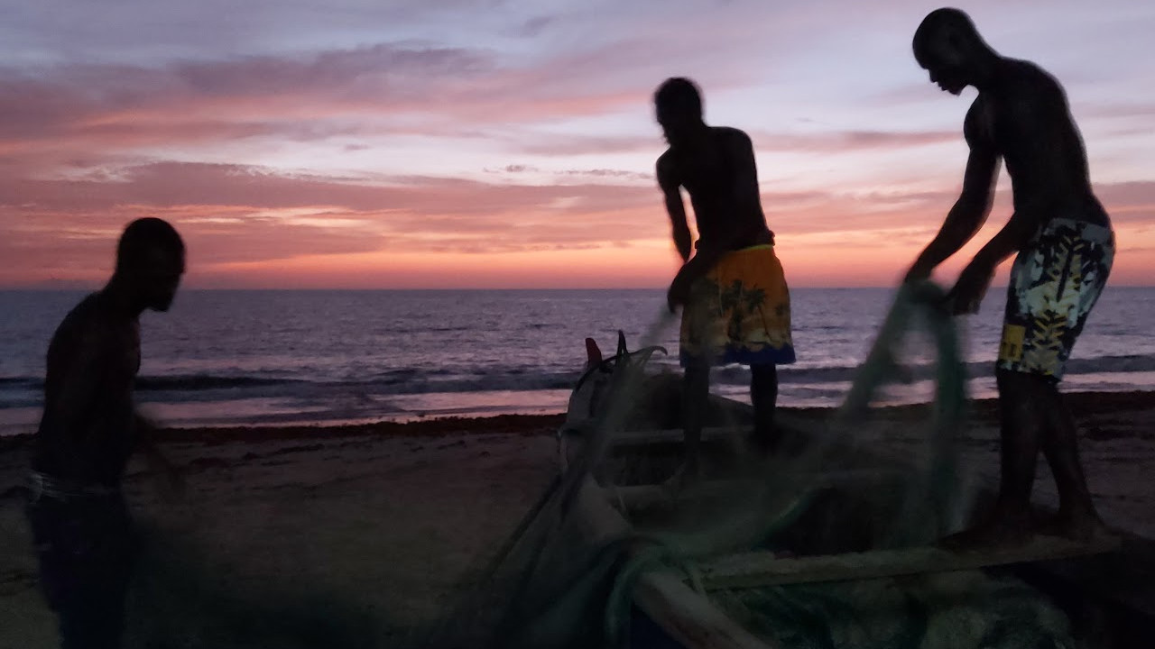  Dall'articolo: The Years We Have Been Nowhere, da mercoled 27 settembre al cinema.