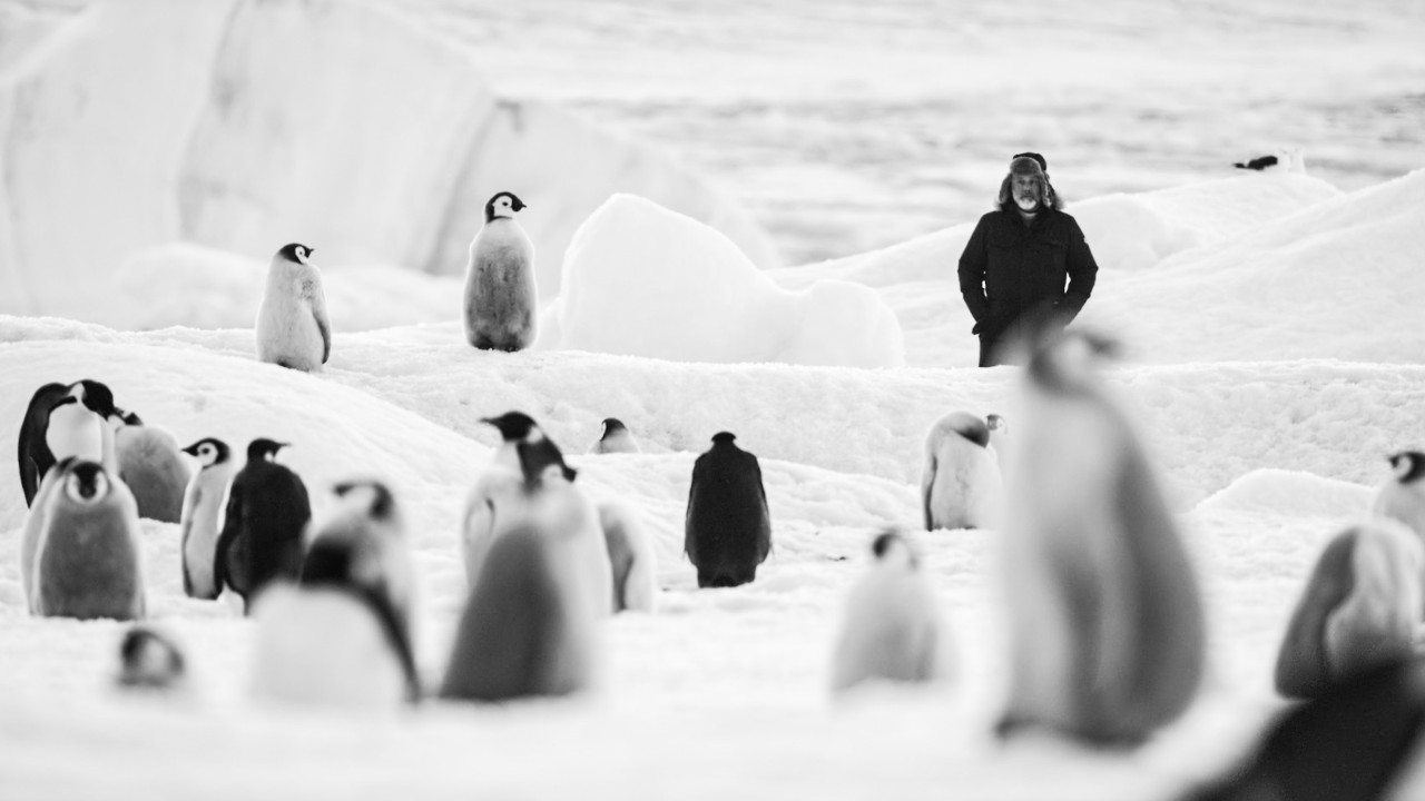 Antartica Calling, un'operazione di forte astrazione che è anche riflessione profondamente ecologista