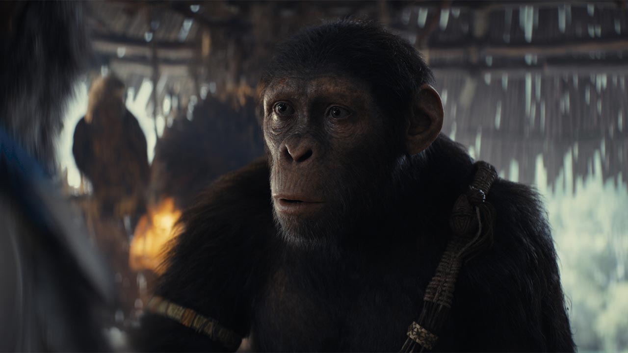 Poche le novità al box office. Il regno del pianeta delle scimmie sale a 1,4 milioni di euro