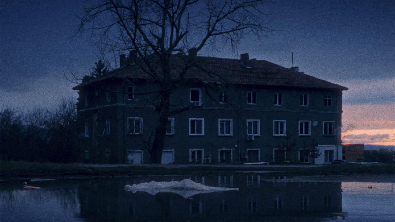  Dall'articolo: Windless, il trailer ufficiale del film [HD].