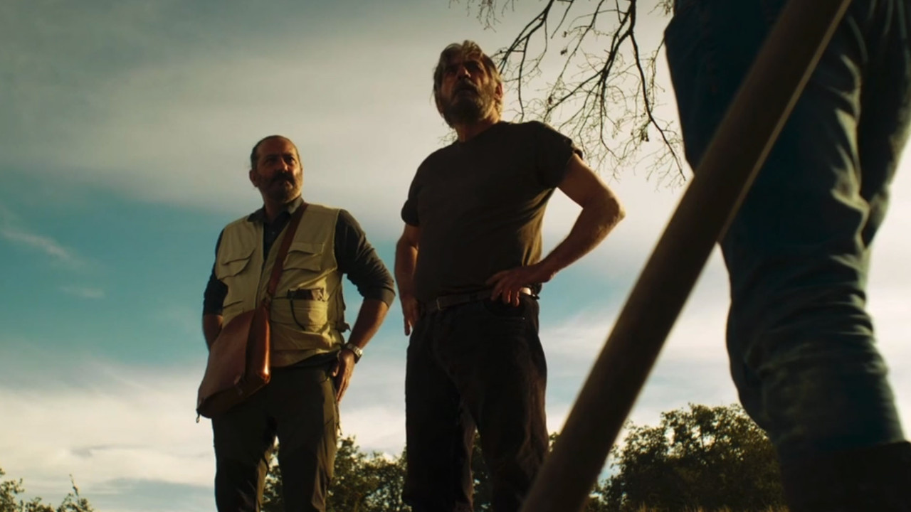  Dall'articolo: Il sogno dei pastori, mestieri diversi, truffa in comune.