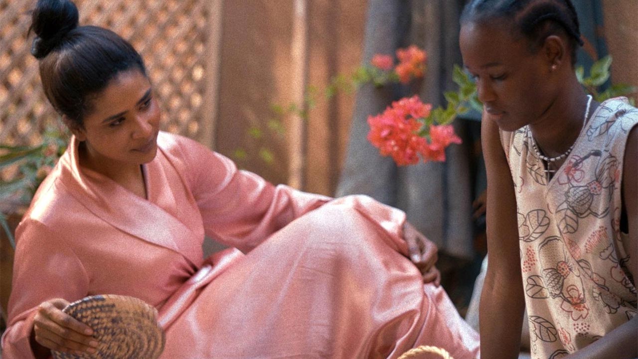  Dall'articolo: Goodbye Julia, il teaser trailer del film [HD].