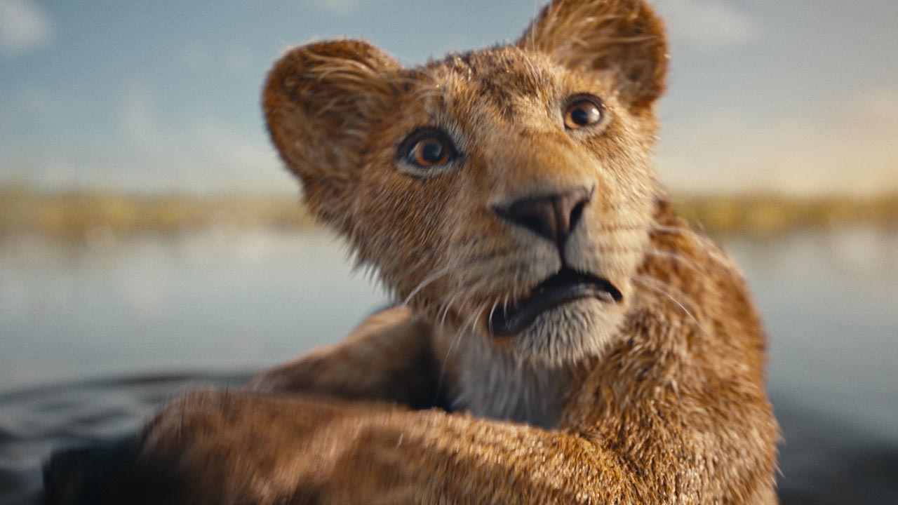  Dall'articolo: Mufasa - Il Re Leone, il nuovo trailer del film [HD].