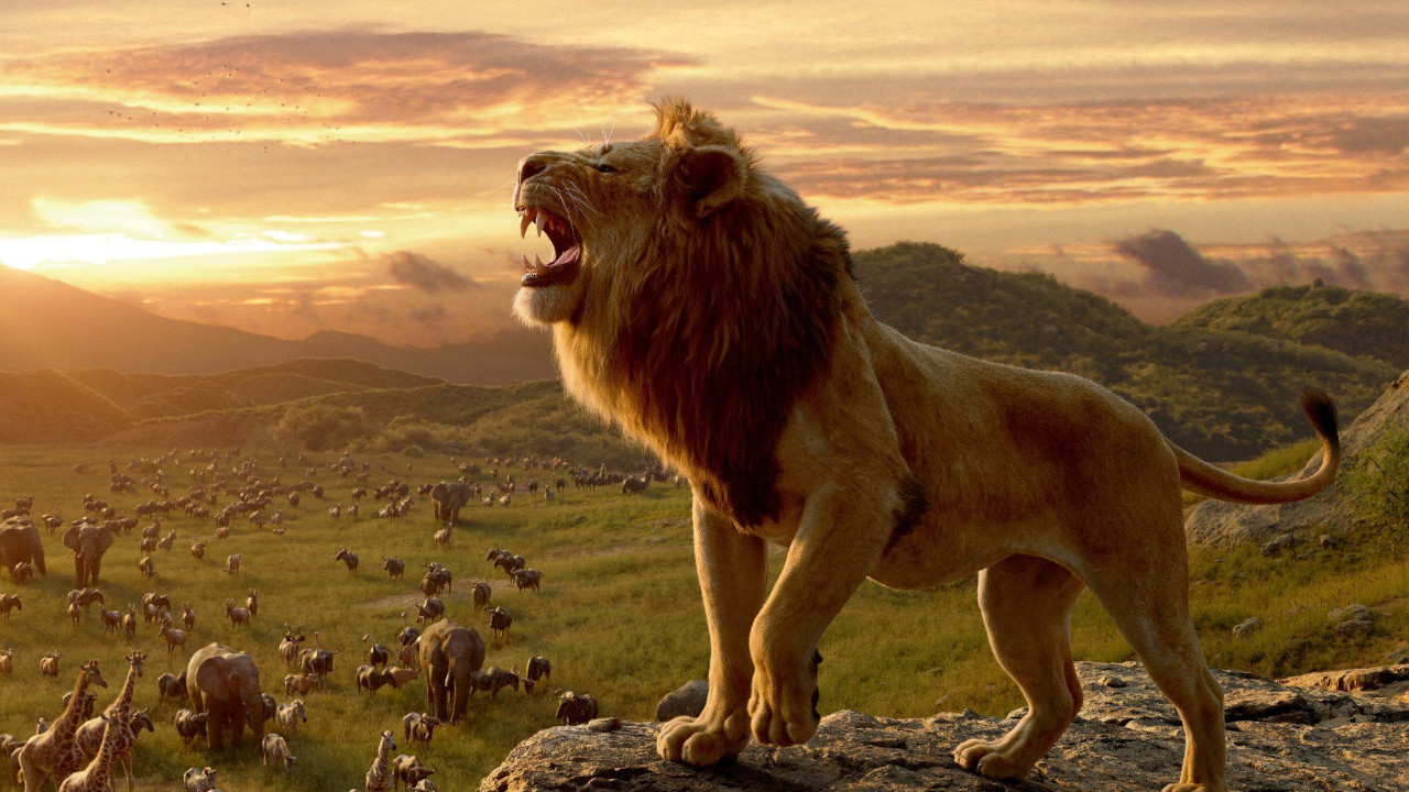  Dall'articolo: Mufasa - Il Re Leone trionfa con 1,8 milioni e sale a 4,5 milioni complessivi.