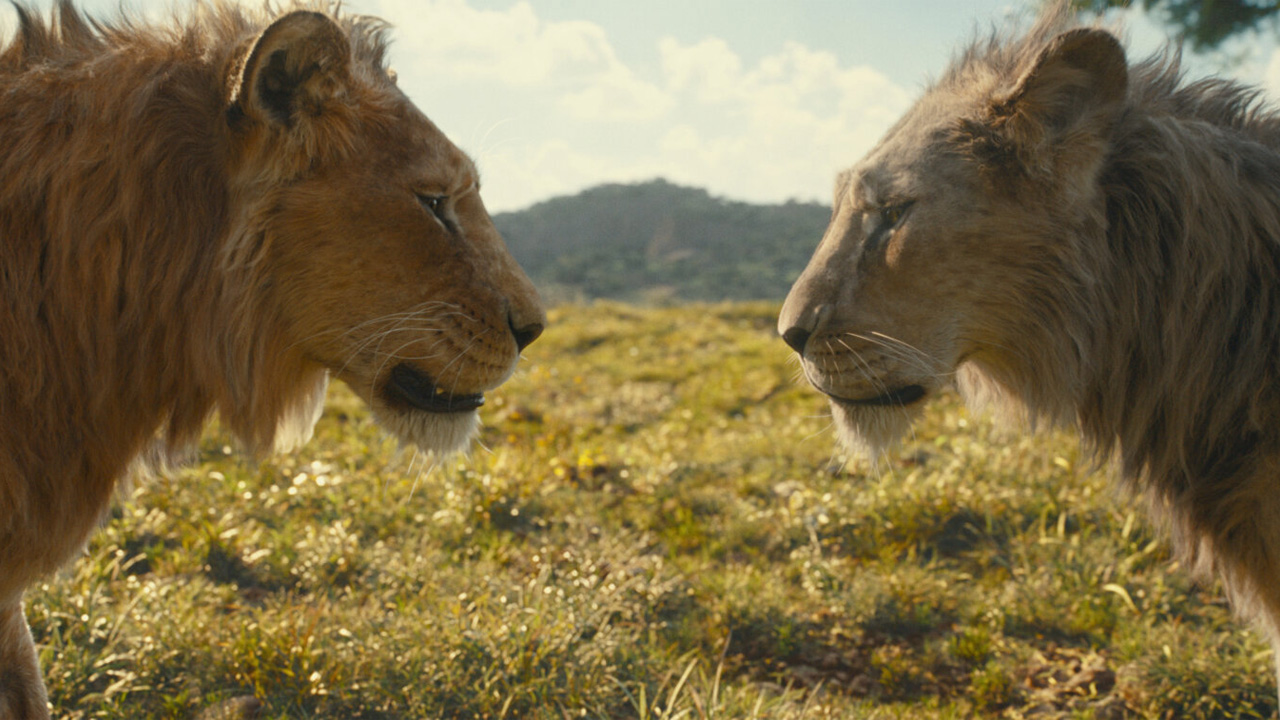  Dall'articolo: Mufasa corre al box office italiano.
