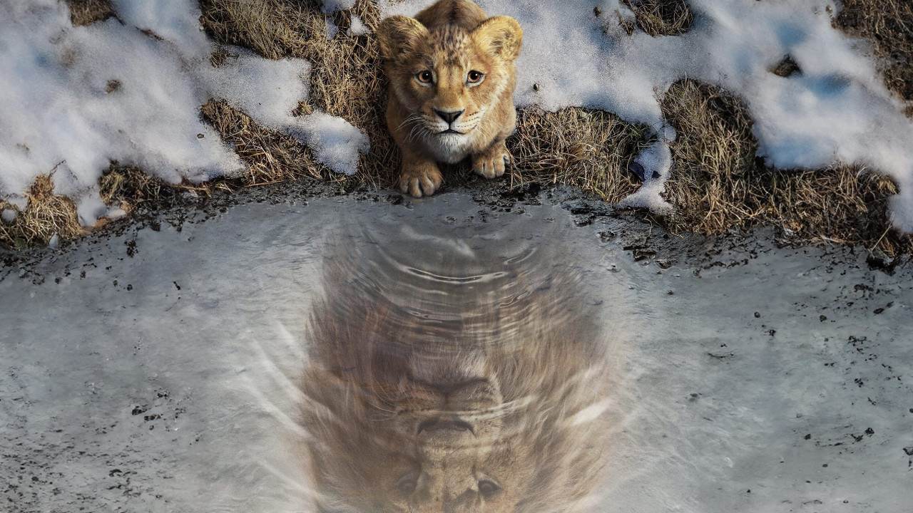  Dall'articolo: Il box office di dicembre supera i 9 milioni di spettatori e si avvicina a quota 70 milioni complessivi.