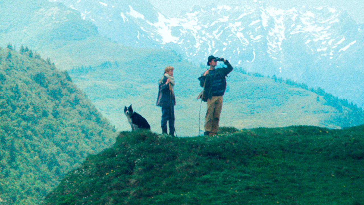  Dall'articolo: Fino alle montagne, il poster e il trailer ufficiali del film .