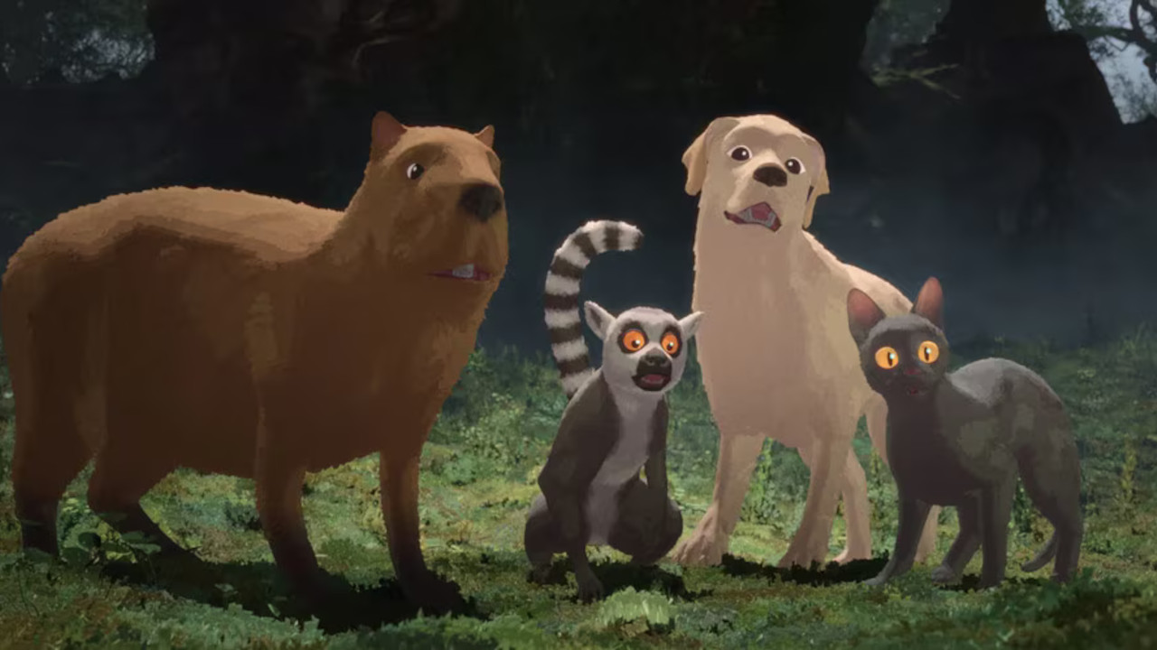 Flow - Un mondo da salvare, su IBS il dvd del film d'animazione che elogia la solidarietà
