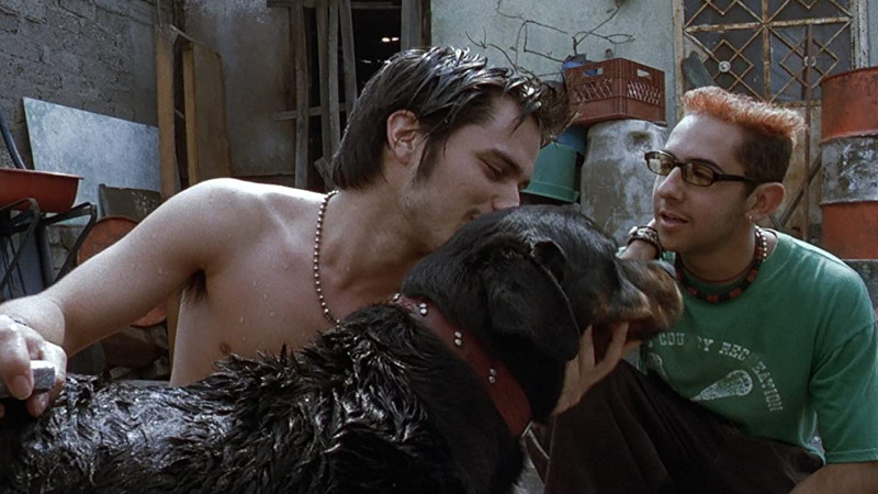 Amores perros