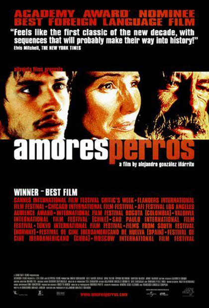 Poster Amores perros