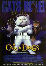 Poster Come cani e gatti  n. 3