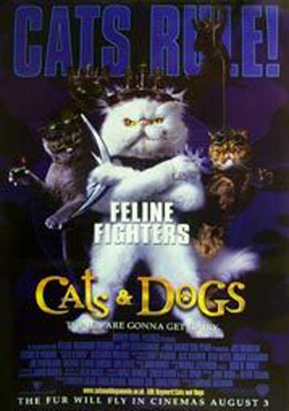 Poster Come cani e gatti