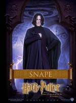 Poster Harry Potter e la pietra filosofale  n. 11