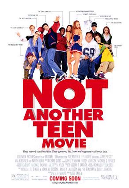 Poster Non  un'altra stupida commedia americana